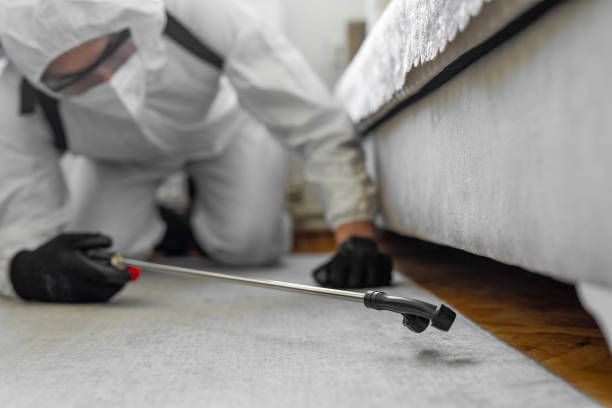 Professional Bed Bug Control technician working in Shenandoah, VA