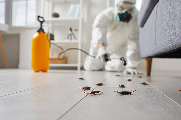 Trusted Cockroach Control service in Shenandoah, VA - Nex Pest Control
