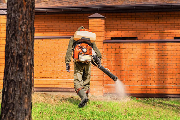 Trusted Rodent Control service in Shenandoah, VA - Nex Pest Control